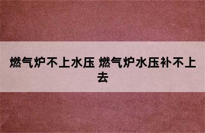 燃气炉不上水压 燃气炉水压补不上去